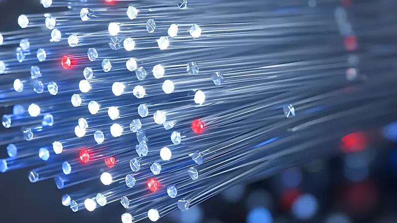Fiber optic bundle carrying light