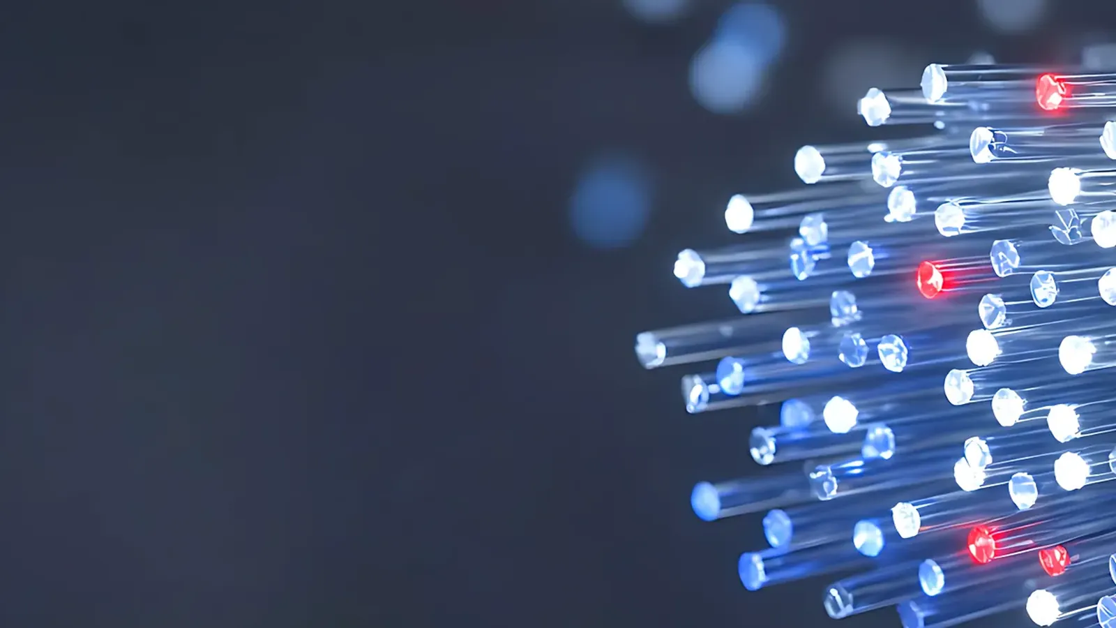 Tips of fiber optic strands glowing blue and white