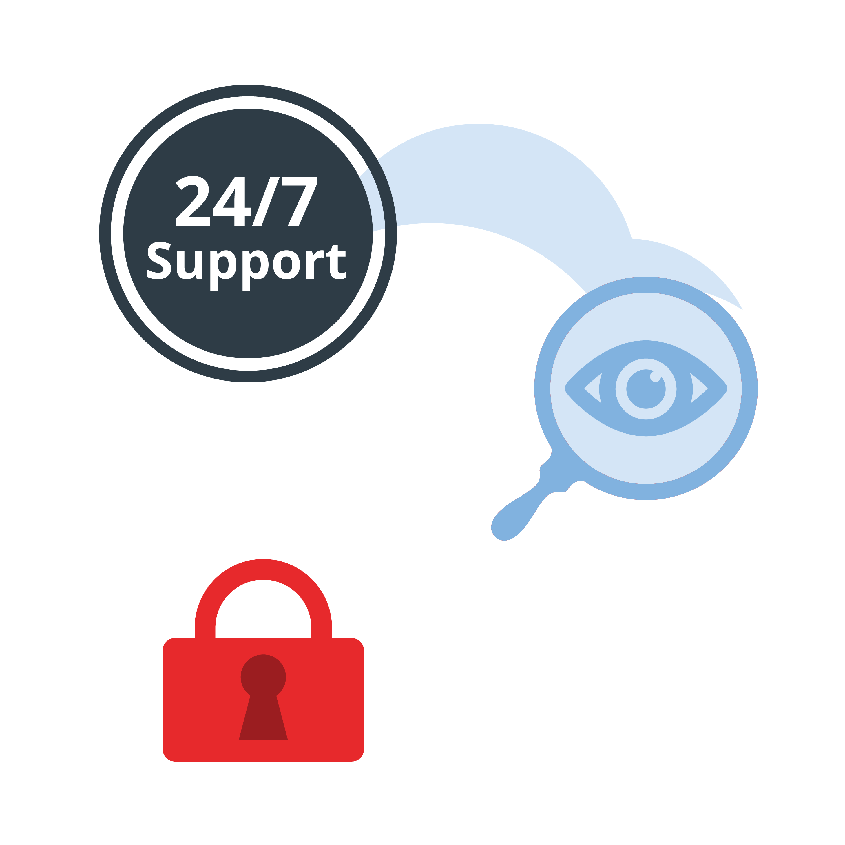 twenty four seven it forensic support