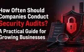 Conduct Security Audits